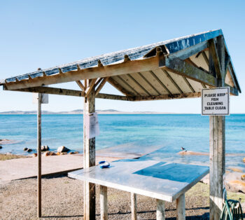 Port Lincoln Tourist Park Fish Cleaning image