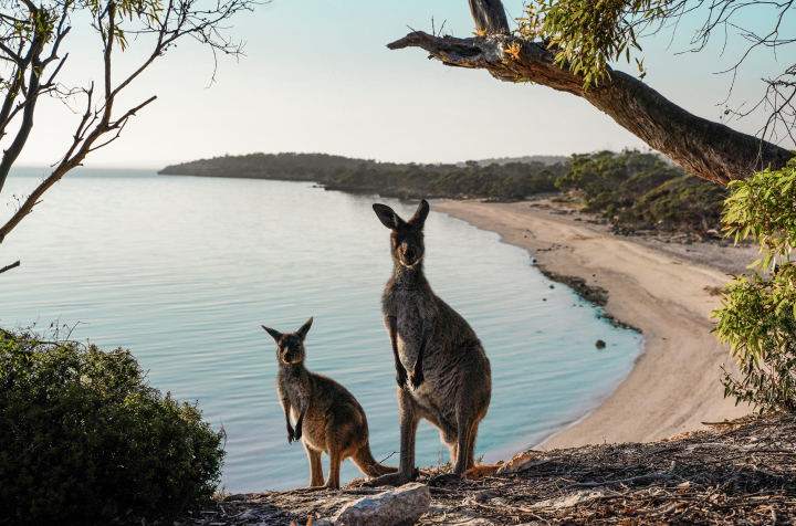 Port Lincoln Tourist Park Location Tours 2