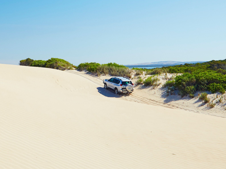 Port Lincoln Tours Sand dunes