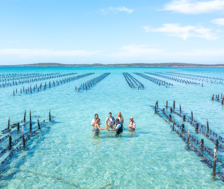 Port Lincoln Tours Oysters